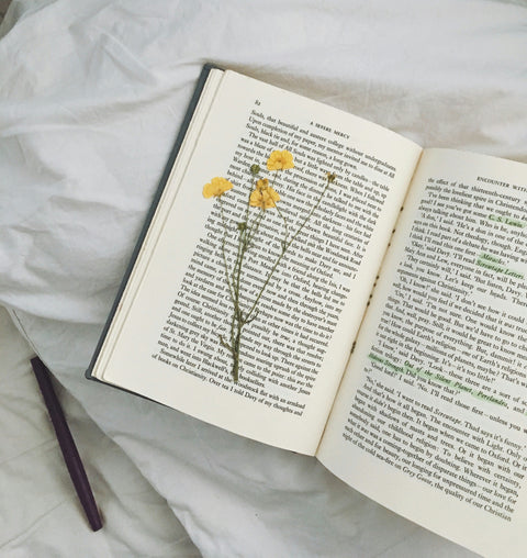 The Essential Oils Reading List: Herban Essentials’ Expert Guide to Aromatherapy Books