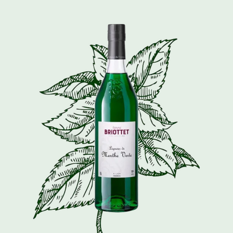 Green wine bottle with white label on a light green background with leaf illustrations
