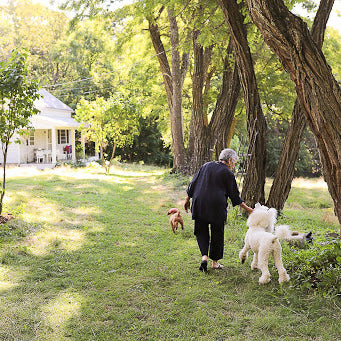 6 Ways To Pamper Your Pup