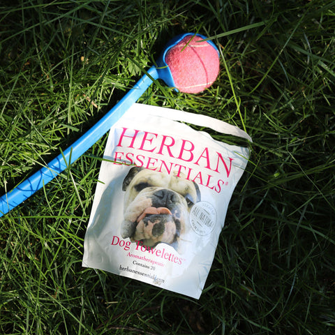 Herban Essentials dog bag with a pink toy on grass
