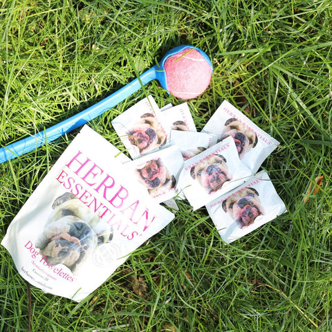 Dog Towelettes - Classic Design