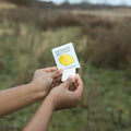 Person taking out a herban essentials lemon essential oil wipe with a blurred field background