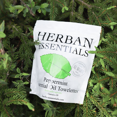 Peppermint Towelettes - Classic Design