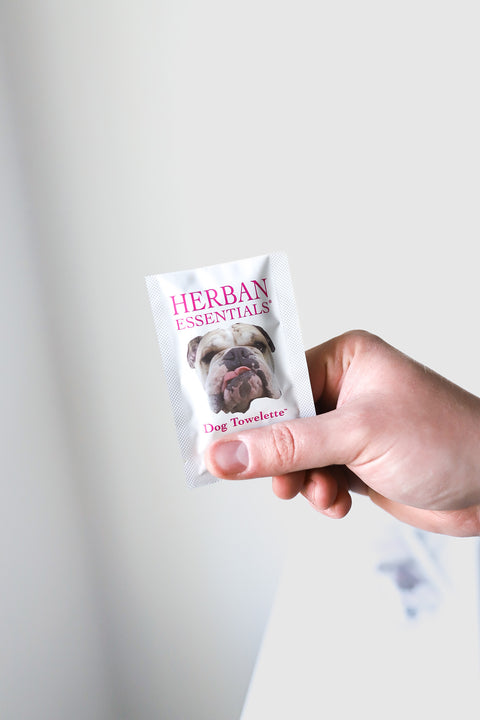 Dog Towelettes