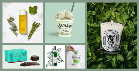 Flat lay of mint moment elements—mint candle, peppermint towelette, mint tea, chocolate thins—symbols of refreshing, daily peppermint rituals.