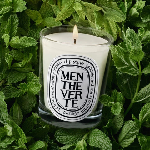 Diptyque Menthe Ver Te candle in a glass jar surrounded by mint leaves -Softly glowing mint-scented candle beside fresh mint leaves—an aromatic peppermint candle for home focus and mood elevation.